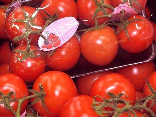 fruit_market_tomato_pack_01